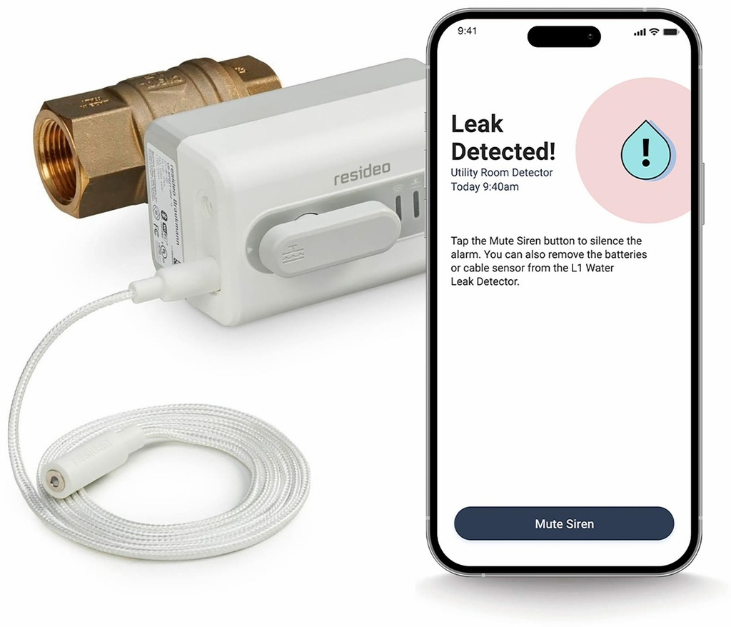 Gallery Image 5 - 3975910