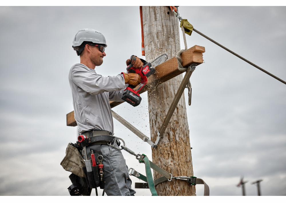 Gallery Image 8 - 4520349