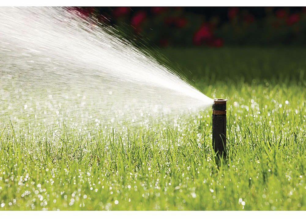 Gallery Image 4 - 4621560