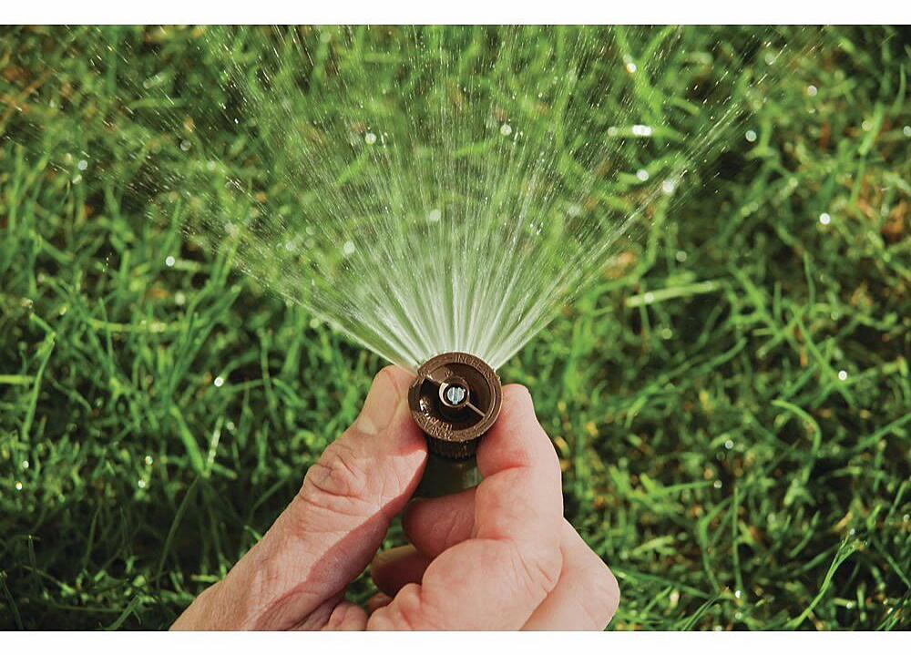 Gallery Image 3 - 4621565