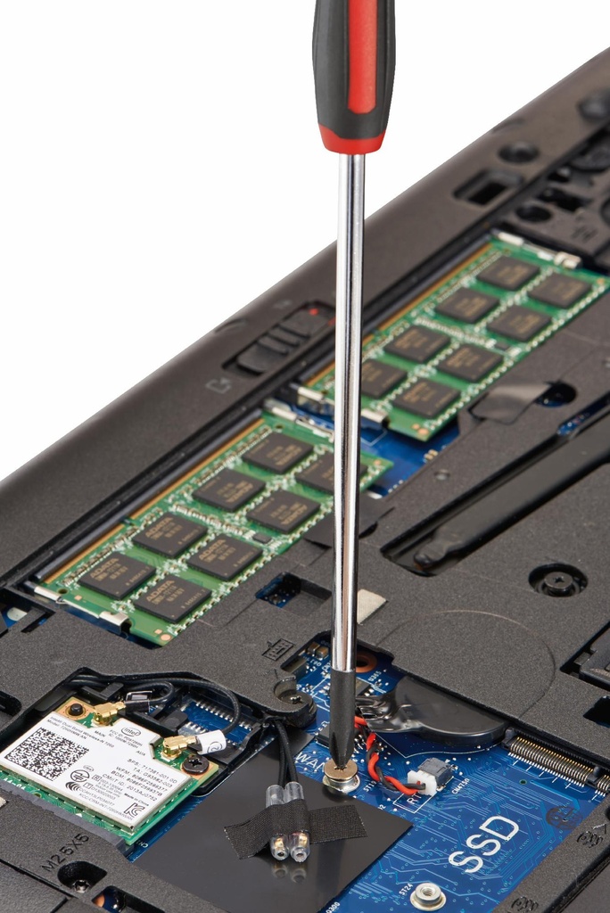 Gallery Image 10 - 4526848