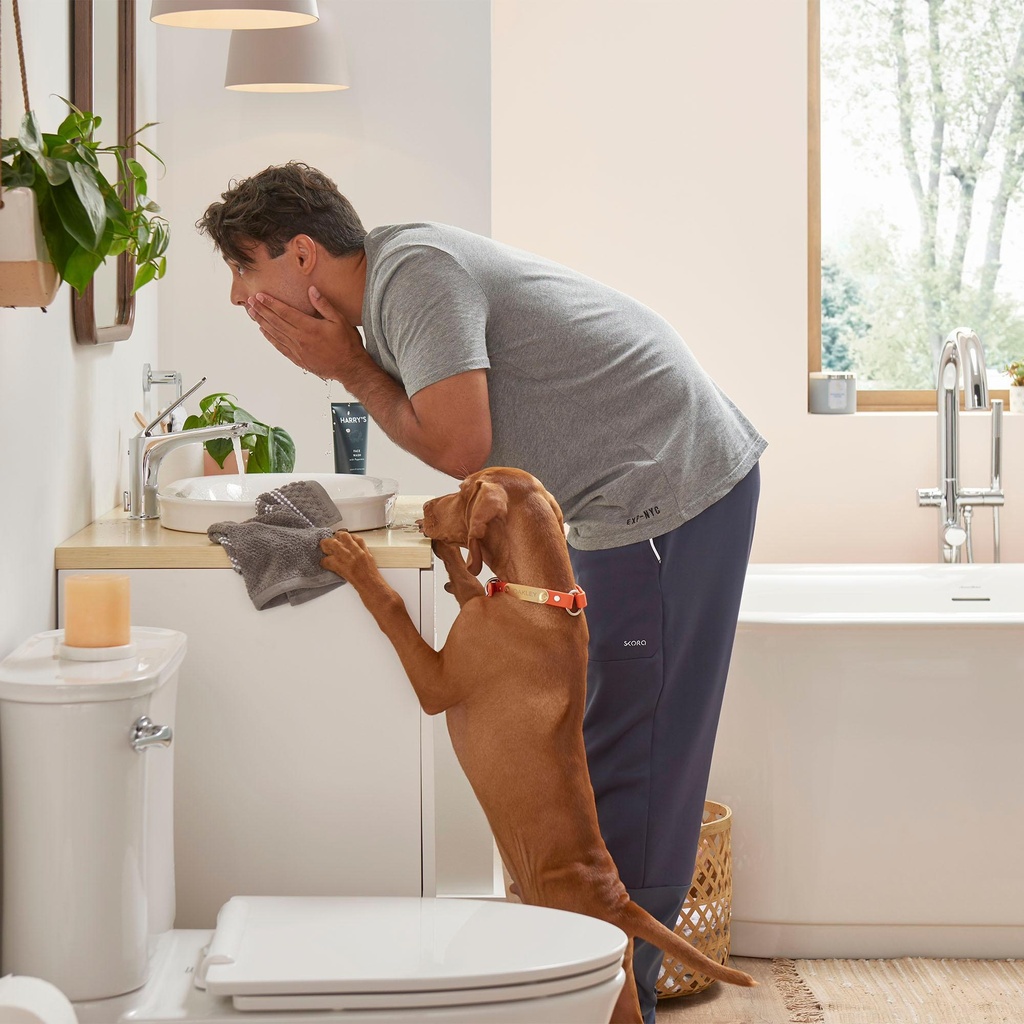 Gallery Image 2 - 1304955