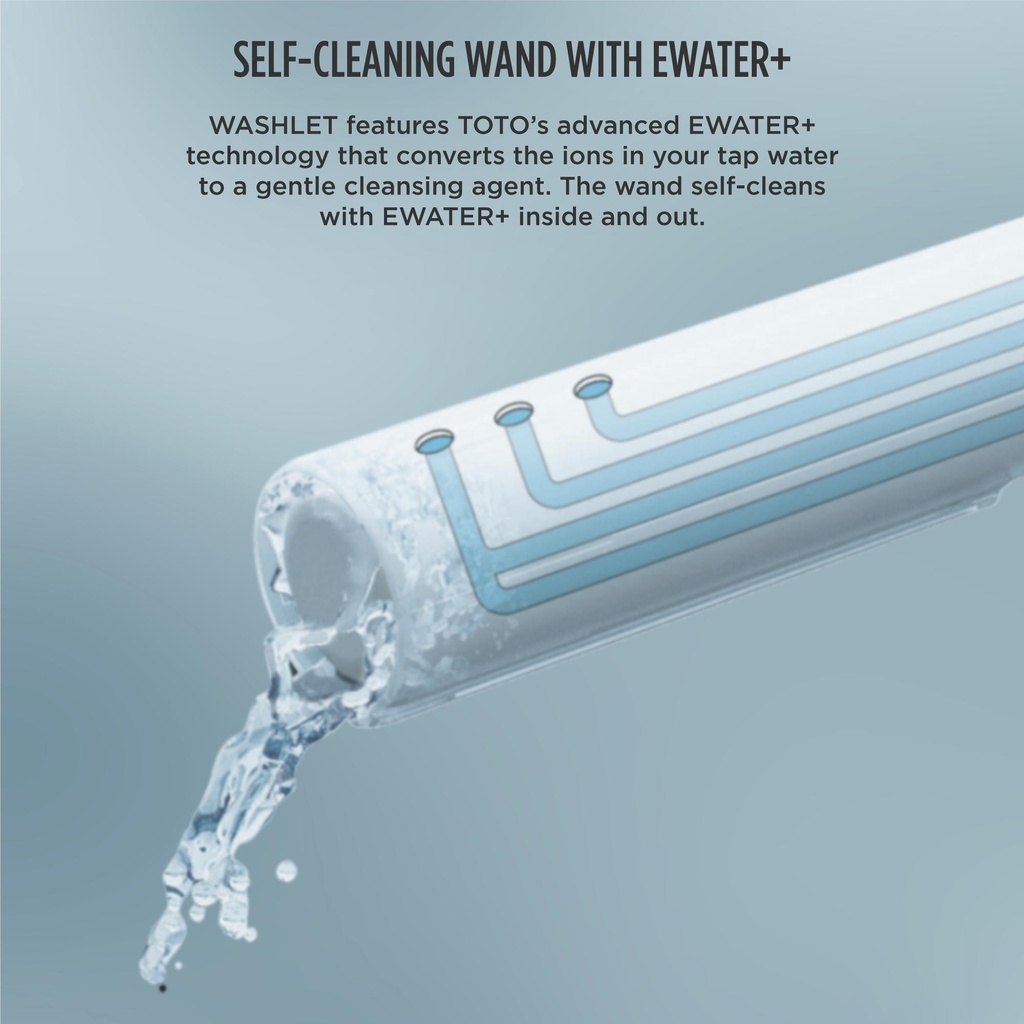 Gallery Image 17 - 1060955