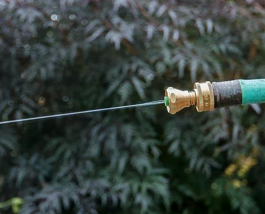 Gallery Image 2 - 5439270