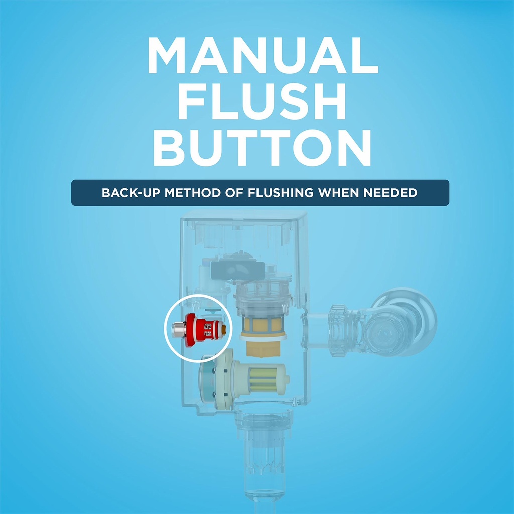 Gallery Image 4 - 1060019