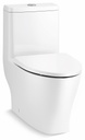 Reach Curv 1-Piece Compact Elongated Dual Flush Skirted Toilet