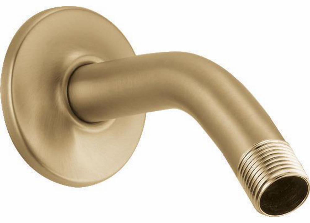 Shower Arm and Flange