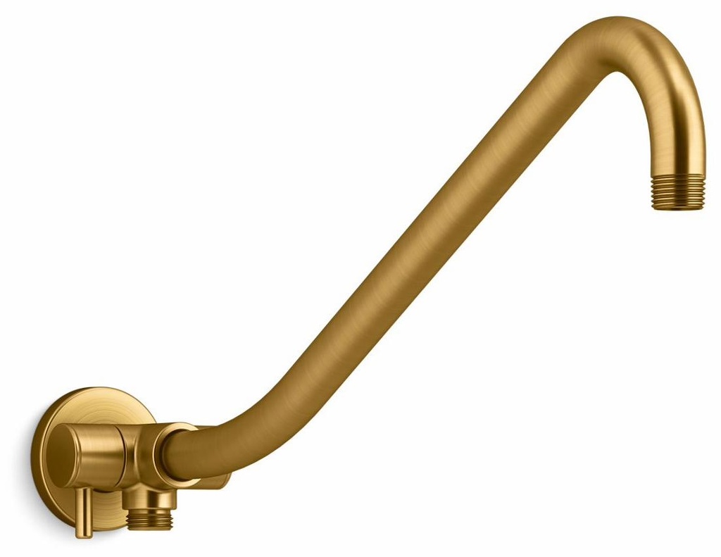 Gooseneck Rainhead Shower Arm with 2-Way Diverter