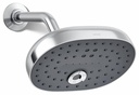 Statement Three-function showerhead, 1.75 gpm