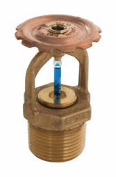 3/4" FL-ECOH 155F Upright Sprinkler Head Brass FireLock V1121