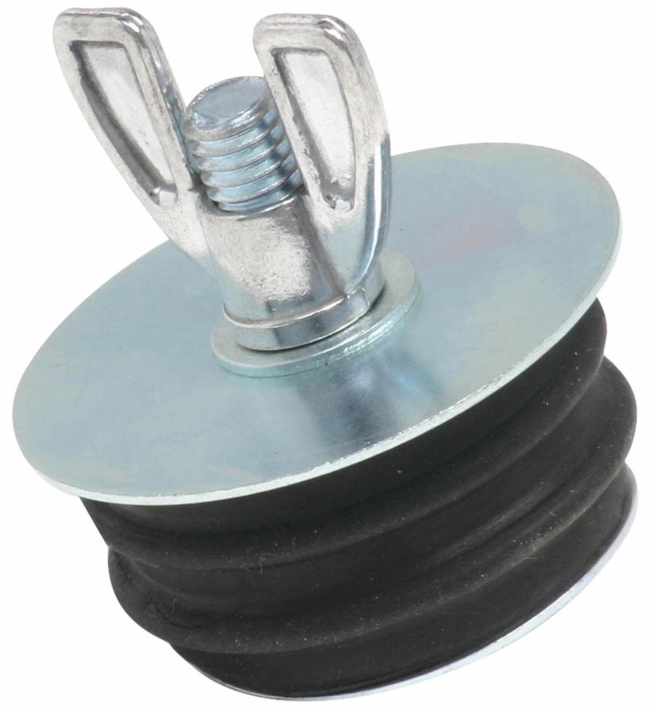 2" ECONOMY TEST PLUG