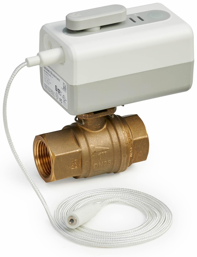 L5 Wifi Actuator with 1" FPT Ball Valve