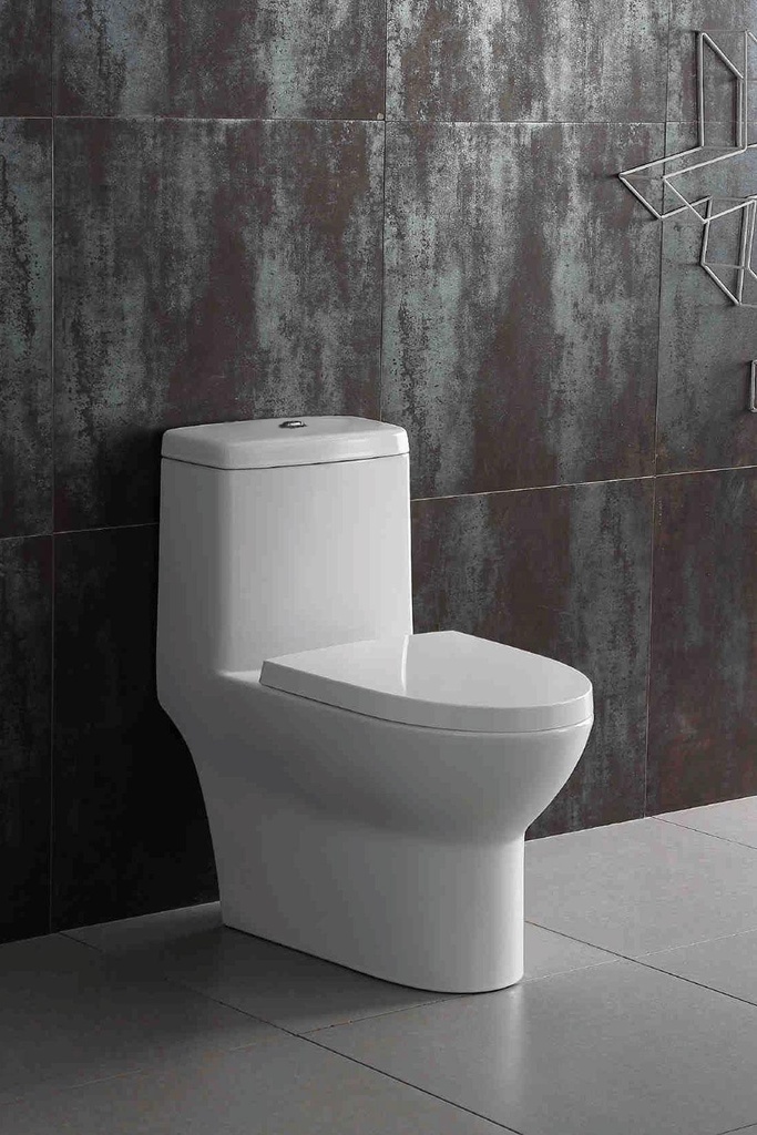 Dual Flush One-Piece Toilet