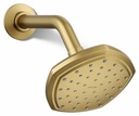 Occasion 1-Function Shower Head 2.5 gpm