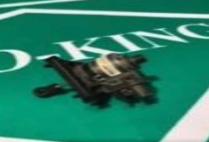 3 way valve motor (All Sizes)