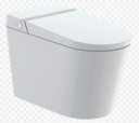 Intelligent 1-Piece Dual Flush Elongated Bidet Toilet