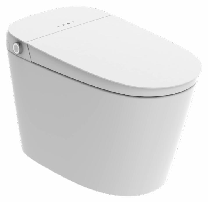 Intelligent 1-Piece Tankless Smart Toilet