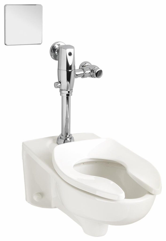 Afwall 1.1 GPF Wall Mounted Elongated Flushometer Bowl with Back Spud (Less Seat)