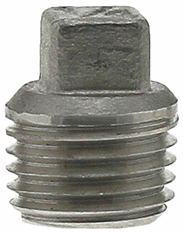 SS304P-02 - '1/4" 304SS Cored Plug Iso4144'