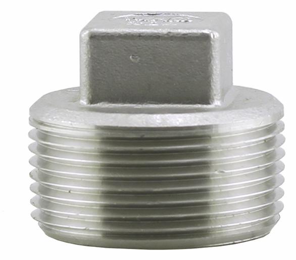SS304P-12 - '1-1/4"304SS Cored Plug Iso4144'