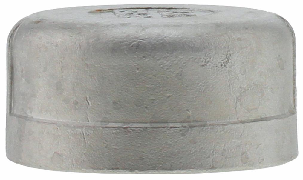 SS316CA-20 - '2" 316SS Cap Iso4144'
