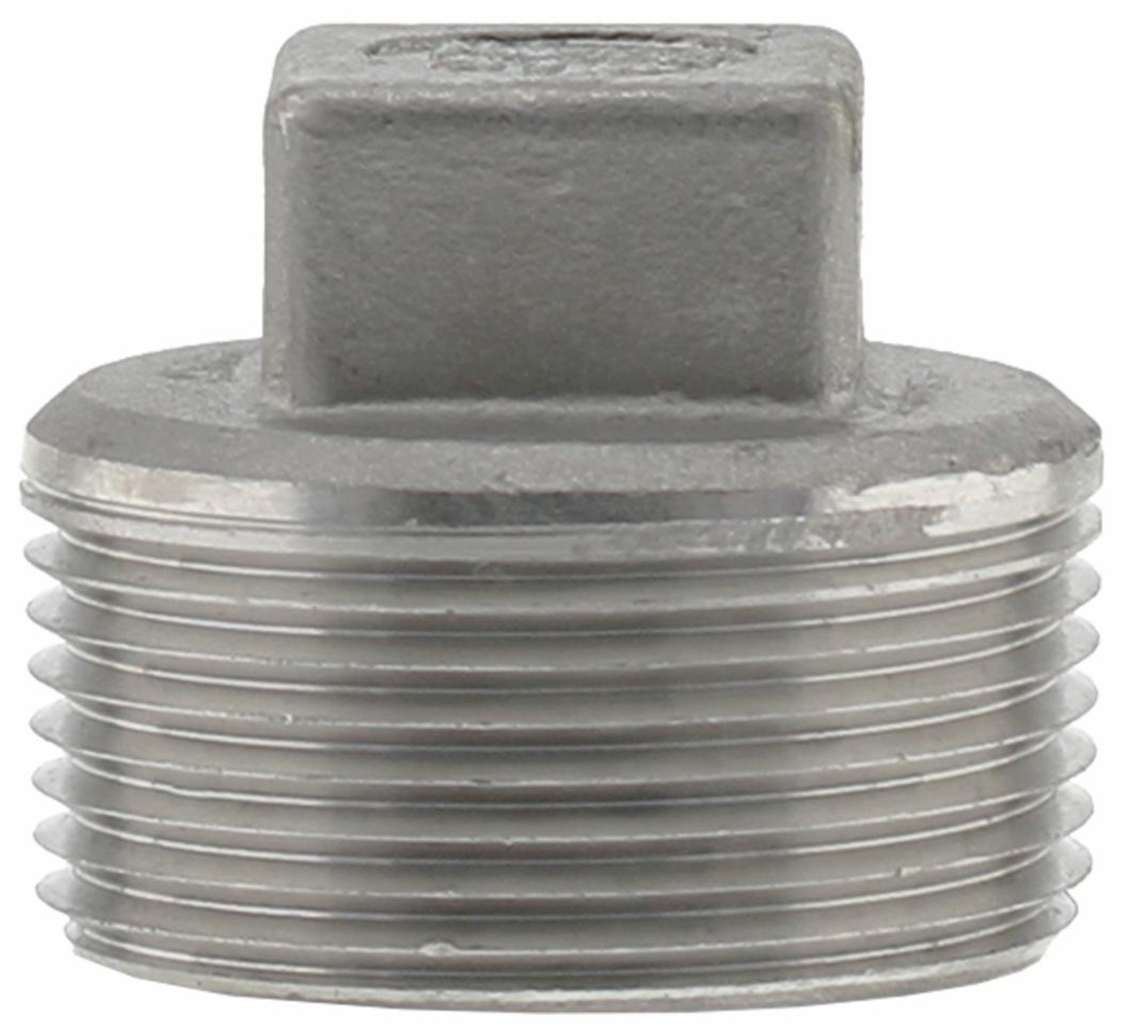 SS316P-12 - '1-1/4"316SS Cored Plug Iso4144'