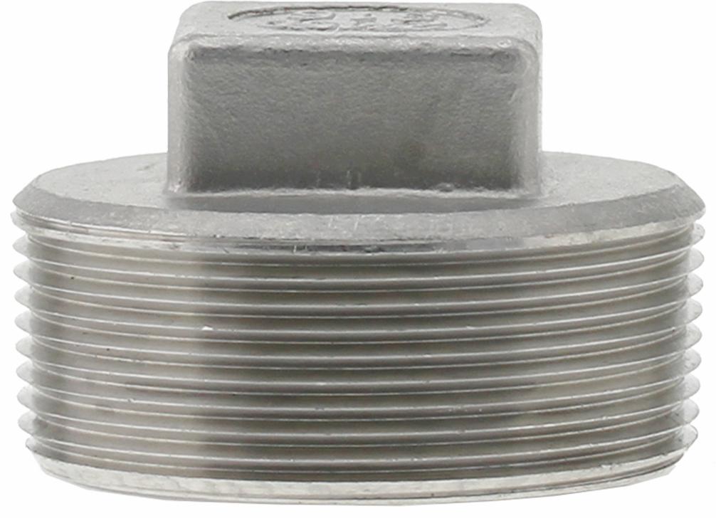 SS316P-20 - '2" 316SS Cored Plug Iso4144'