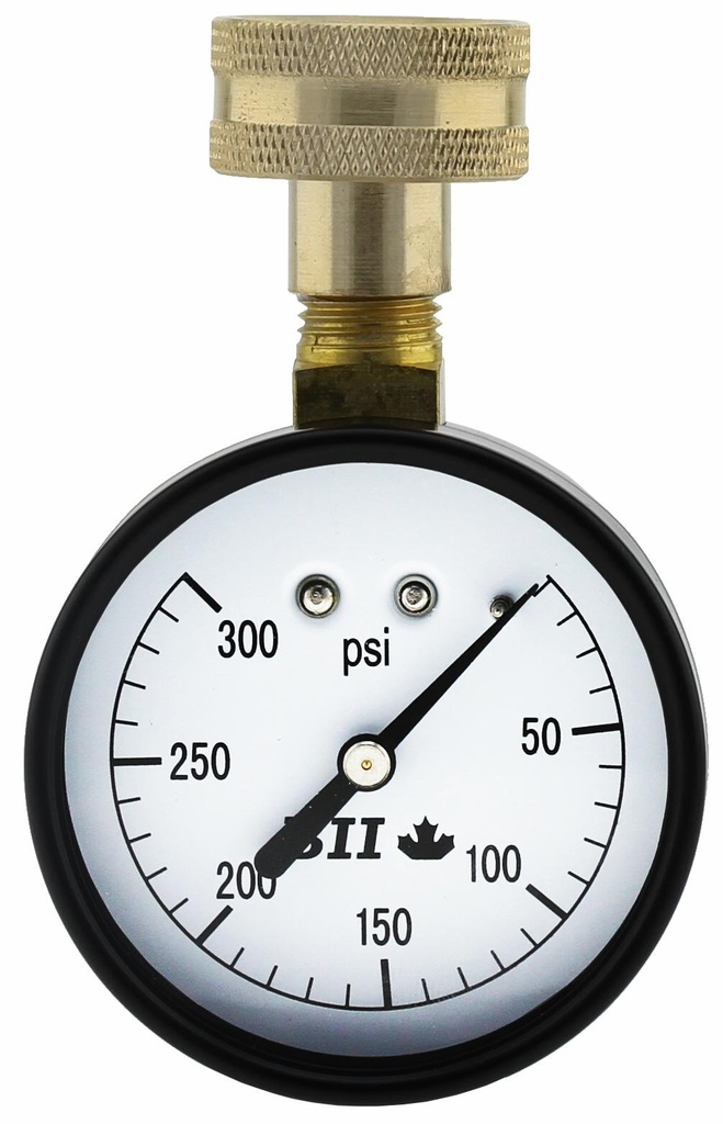 PG25-WTG300 - '2.5" Water Test Gauge 0-300'