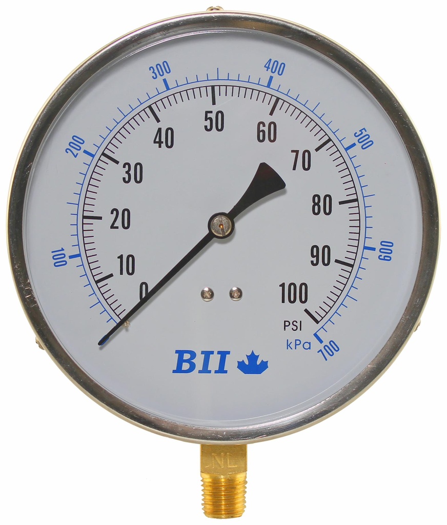 PG45-100NL - 'No Lead 4.5"Dry 1/4"Lm 0-100'