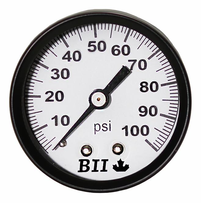 PGCBM-1-100NL - 'No Lead 2" Dry 1/4"Cbm 0-100'