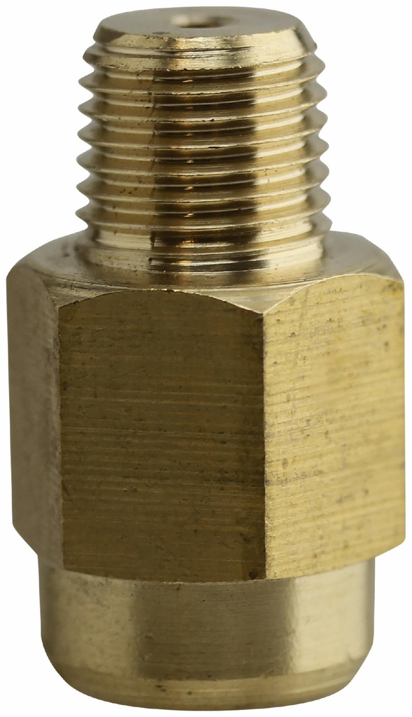 2-PGA-BS-E - '1/4" Brass Snubber - Water With Brass Snubbing Element'