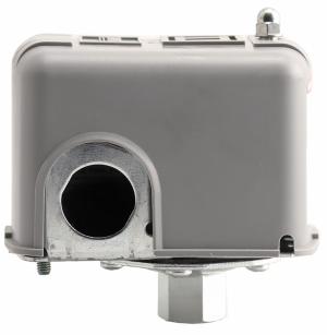 9013FSG2J24 - '1/4" FPT 40-60 Psi'