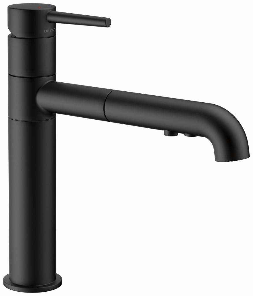 Trinsic Kitchen Faucet with Pullout Spray