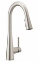 Sleek Kitchen Faucet with Pulldown Spray