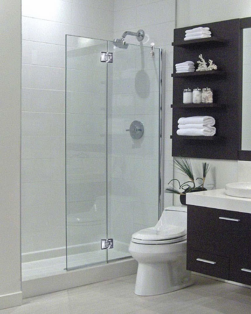 Shower Shield with Pivoting Panel