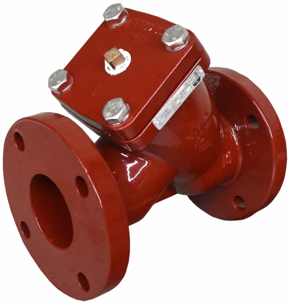 079-40010 MAS W40-A-YX-FF 2 300PSI DI FLG Y-STRAINER