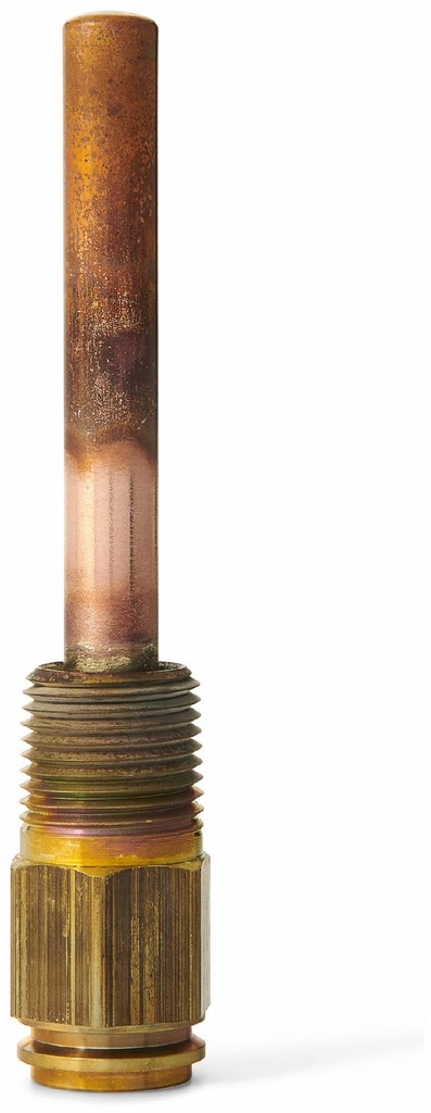 Copper 3/4 in NPT Well Assembly with 3 in Insertion depth