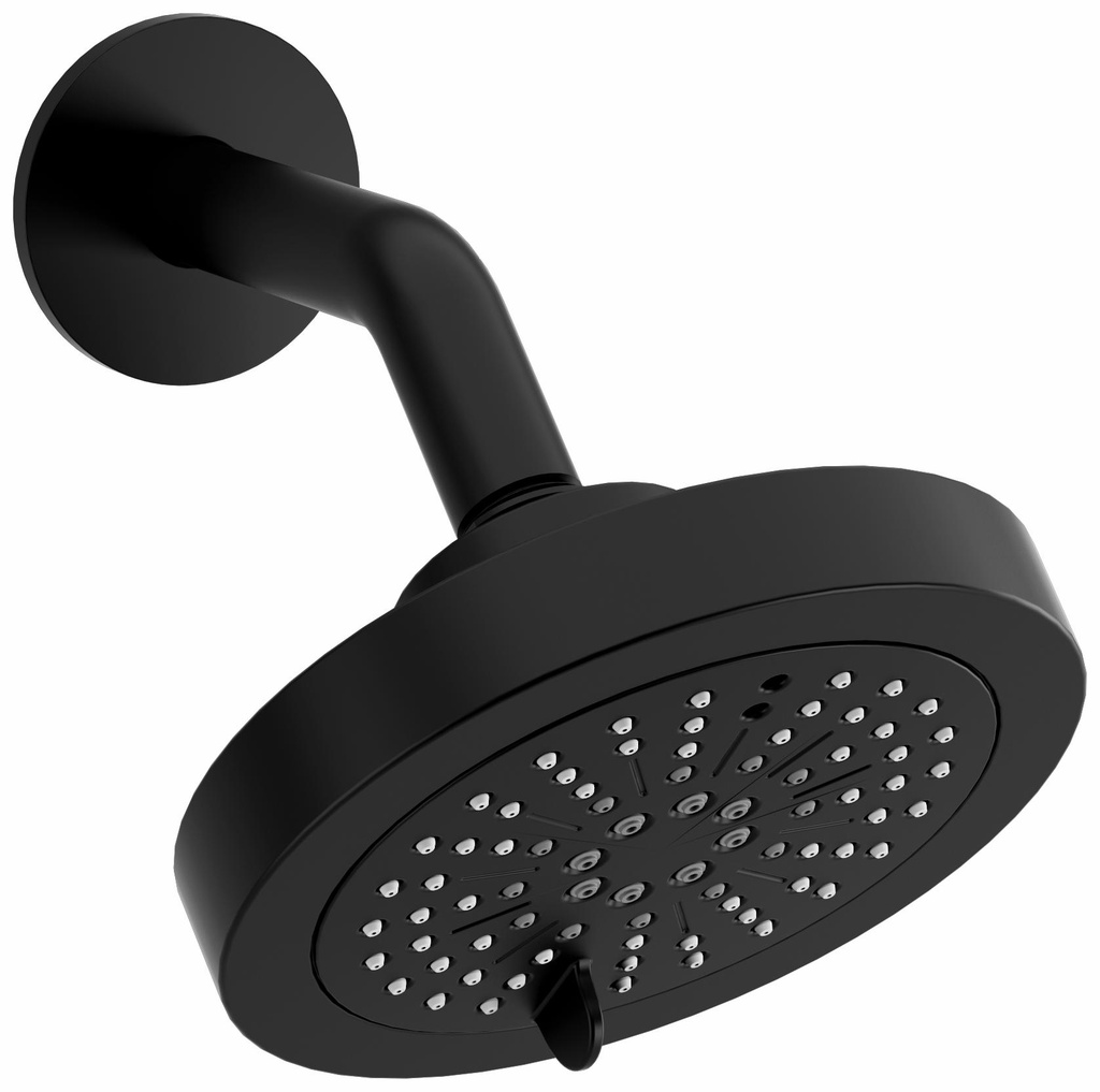 6" 2-Function Round Showerhead with Arm