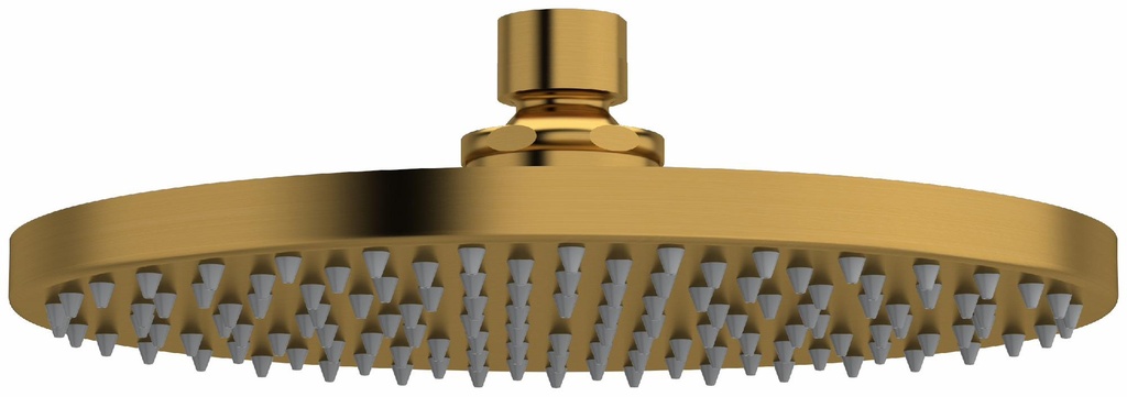 8" Rain Round Showerhead