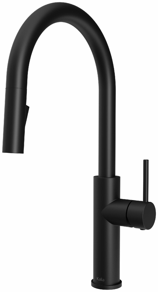 Specifik Kitchen Faucet with Pulldown Spray