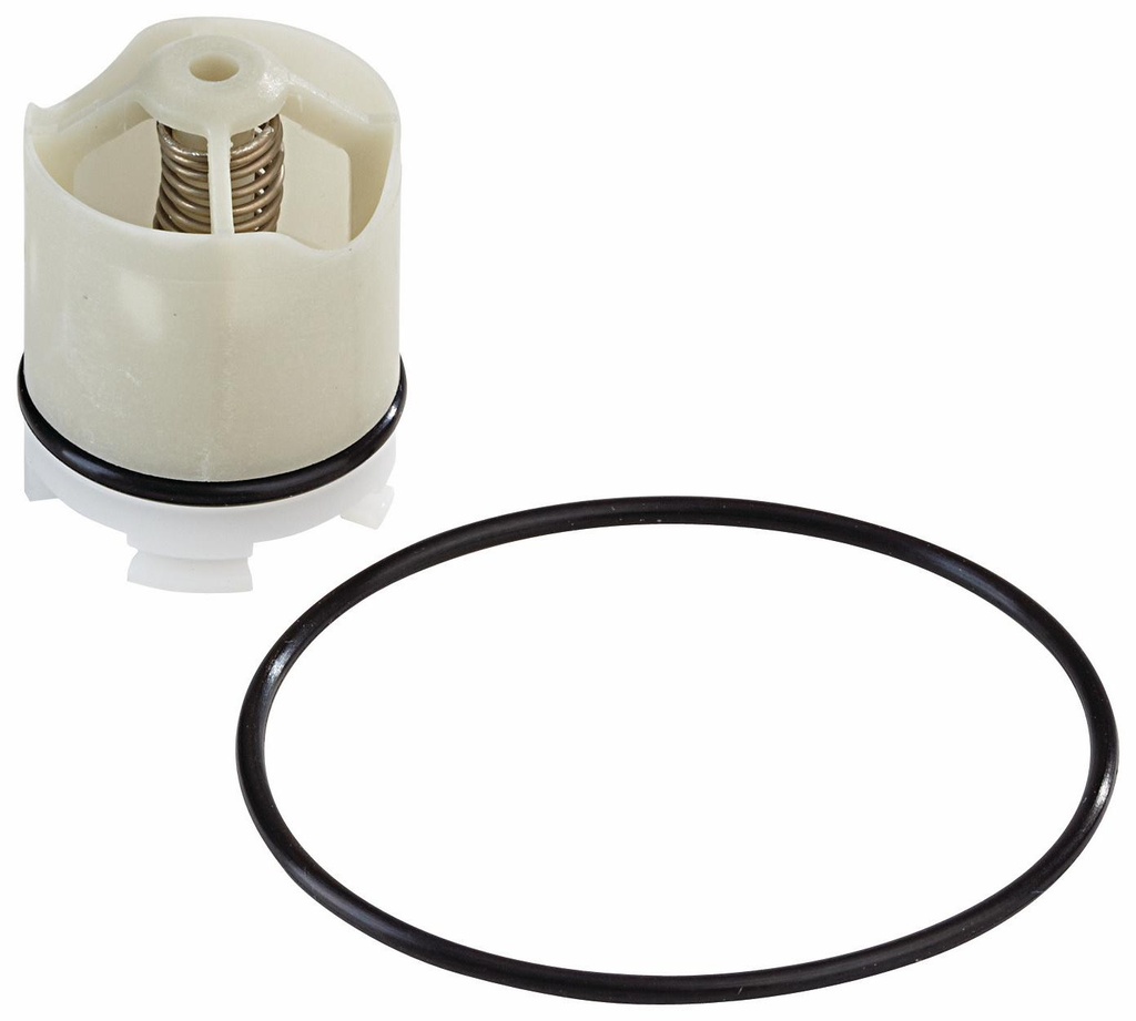 1/4 to 1/2 In RK 009-CK1 1/4-1/2 First Check Kit