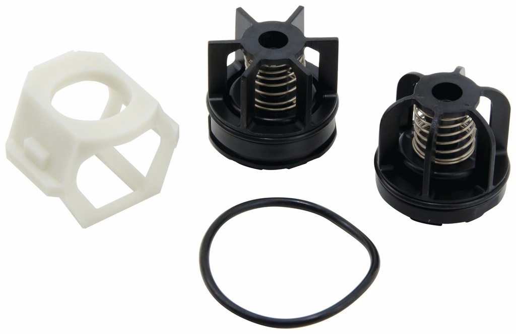 3/4 In RK 007M3-T 3/4 Total Valve Repair Kit