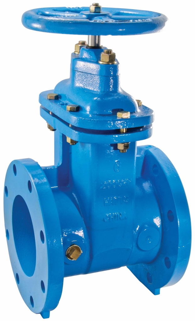 6 In 405-RW 6 Gate Valve