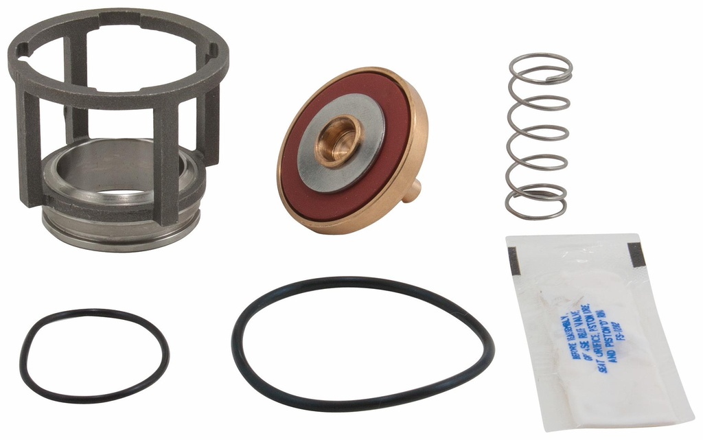 3/4 to 1 In RK 909-CK2-SS Second Check Kit