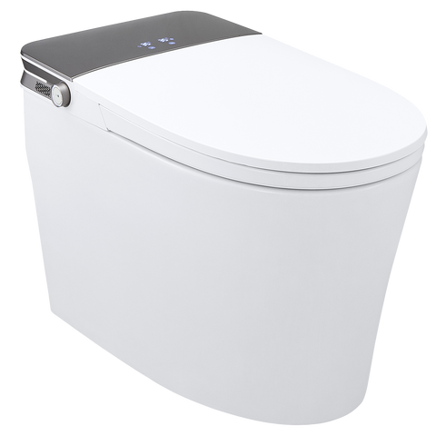 SMART TOILET 613