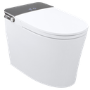SMART TOILET 613