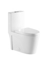 ONE-PIECE TOILET SL-011