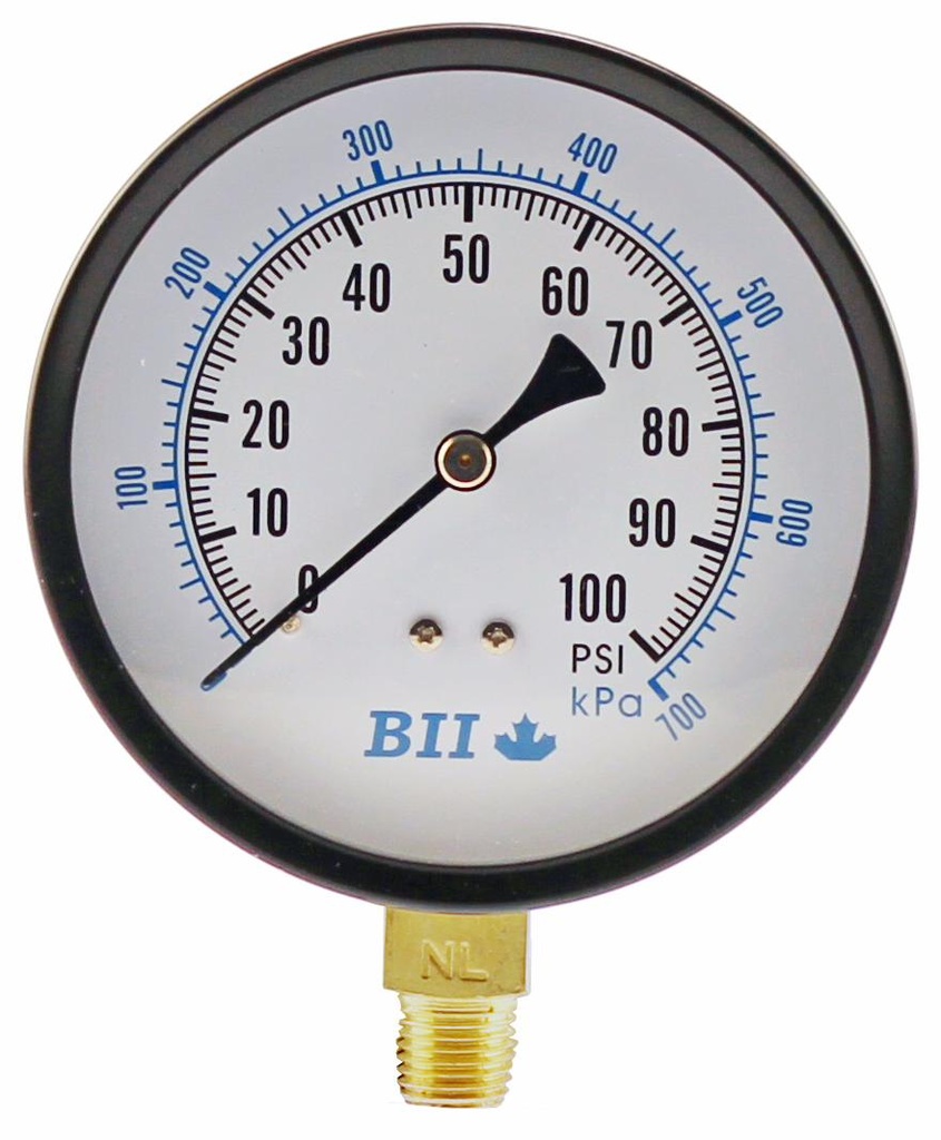 PG40-100NL - 'No Lead 4"Dry 1/4"Lm 0-100'