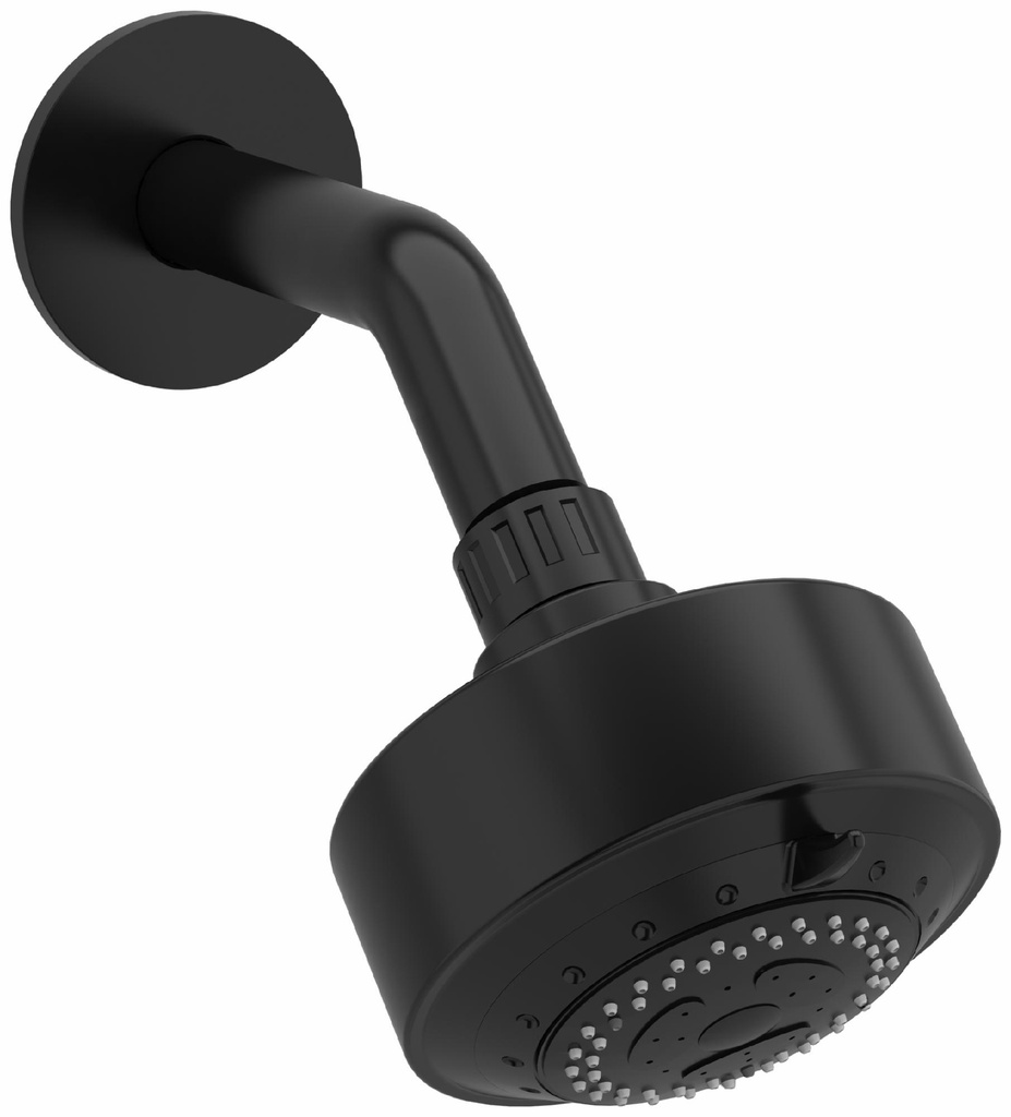 Eco 3-Jet Shower Head with Arm