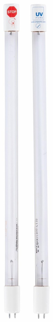 HAL30 REPLACEMENT LAMP 2PK